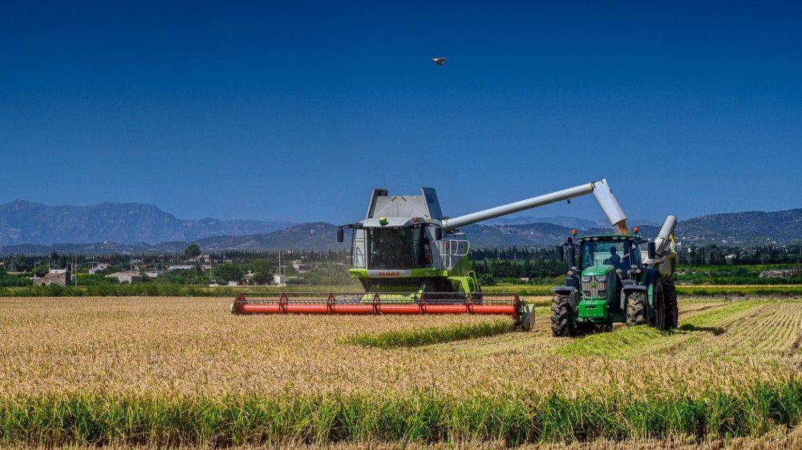 Els bancs d’aliments reben 215 tones d’arròs del delta de l’Ebre generat pel reciclatge de càpsules