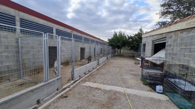 Petjades de l’Ebre denuncia retards en els pagaments i l’Ajuntament de Tortosa assegura que ja s’han resolt