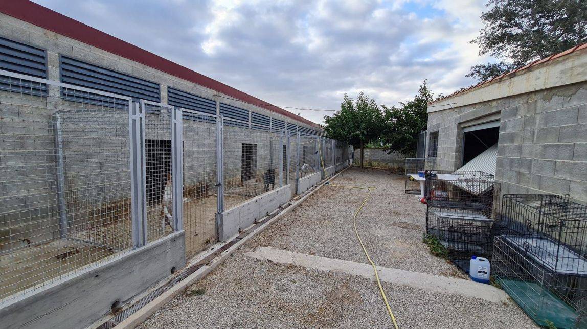 Petjades de l’Ebre denuncia retards en els pagaments i l’Ajuntament de Tortosa assegura que ja s’han resolt