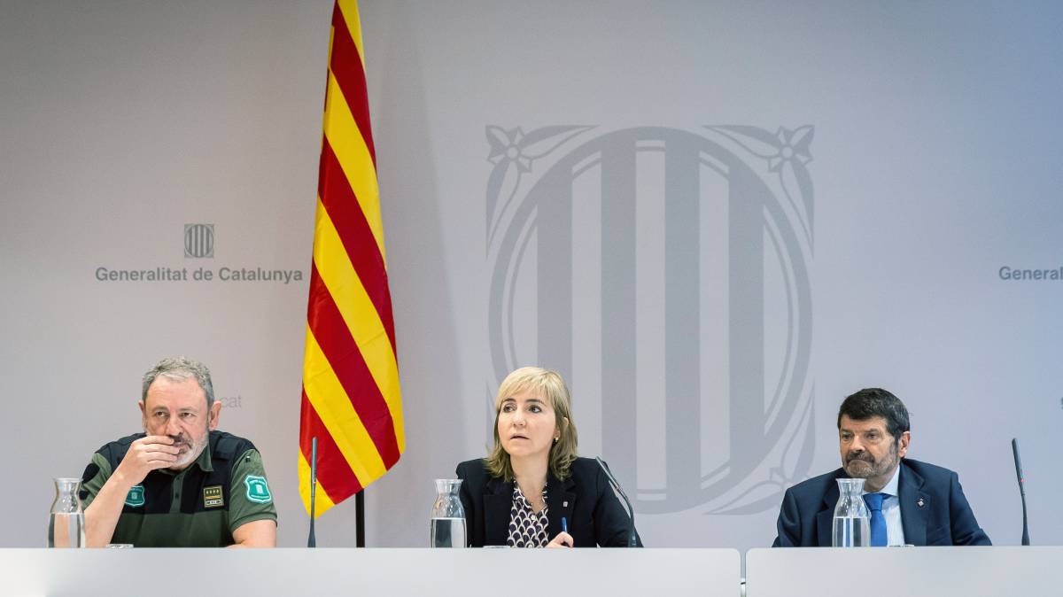 Agricultura vol eliminar tots els senglars de Collserola: en queden almenys 500