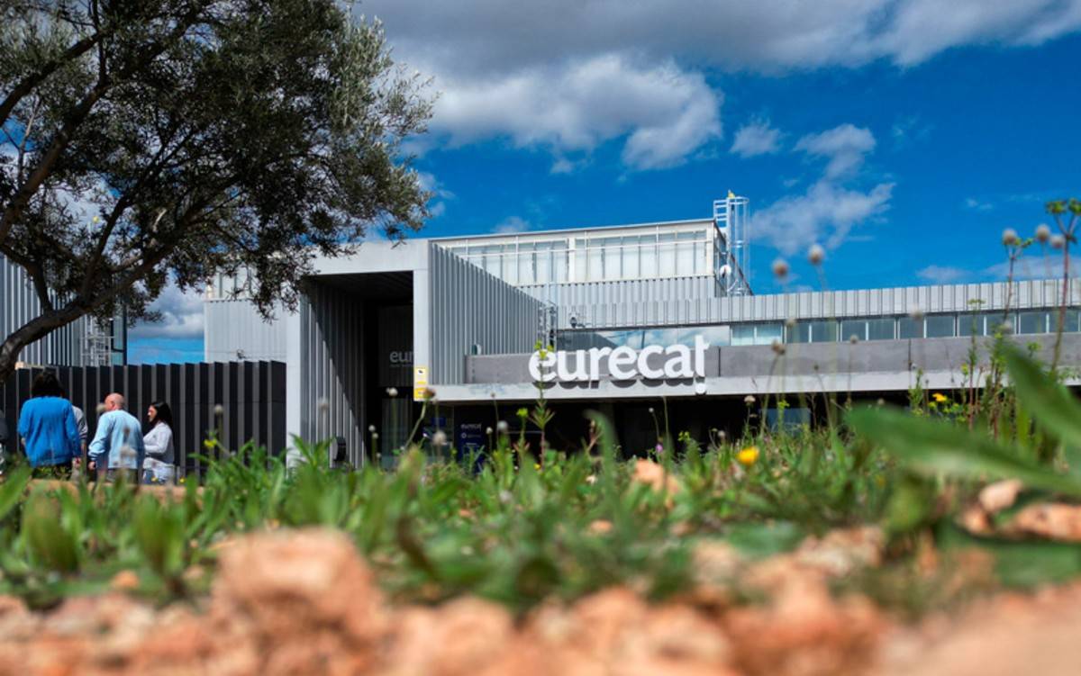 Eurecat Amposta crearà la primera gran escultura de plantes per a papallones i pol·linitzadors de l'Ebre