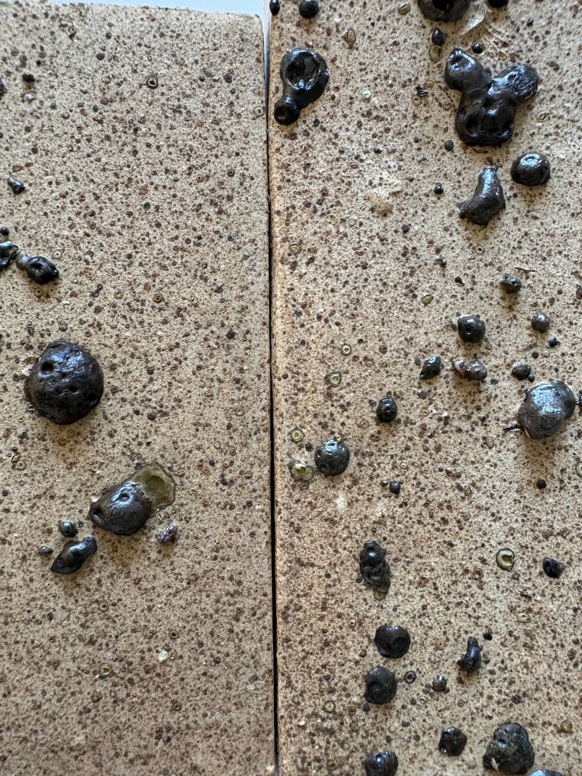 Peces de l'exposició  - 