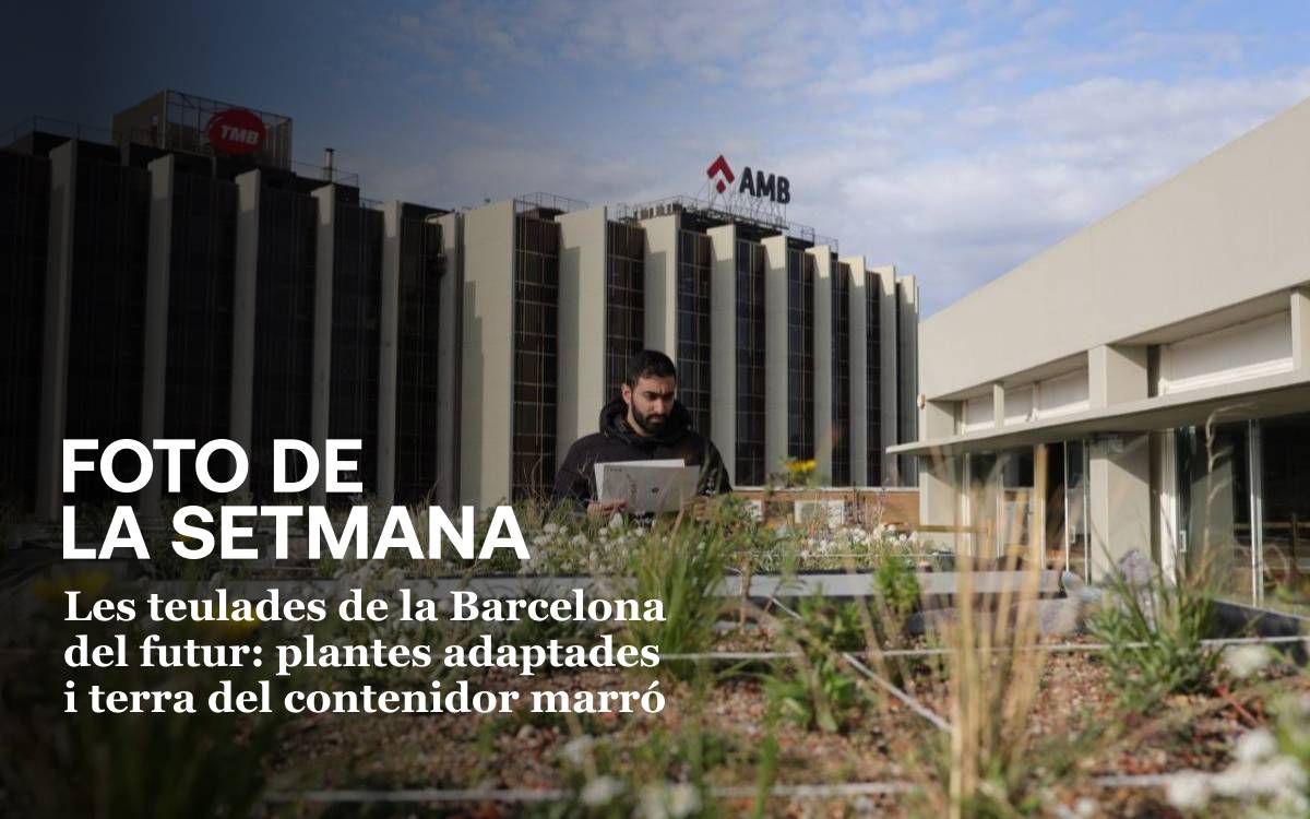 La foto de la setmana: les teulades de la Barcelona del futur