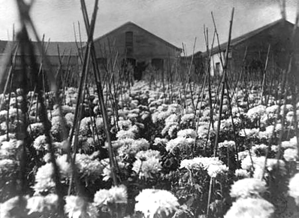 Argemí Garden Center - 