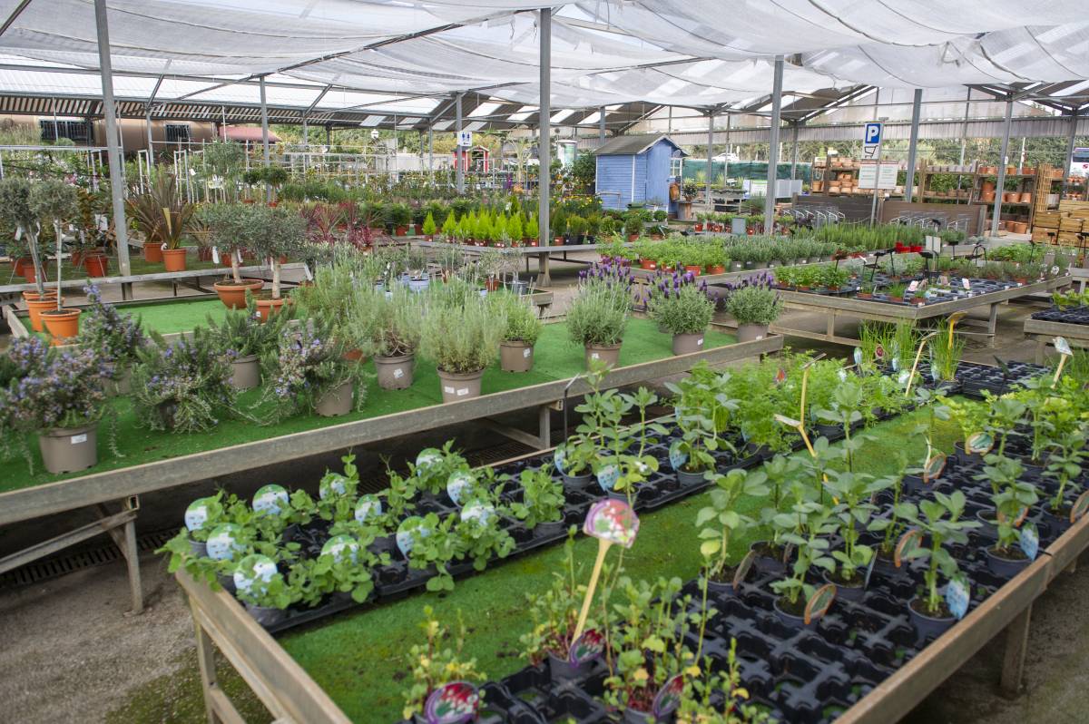 Argemí Garden Center - ALBERTO TALLÓN