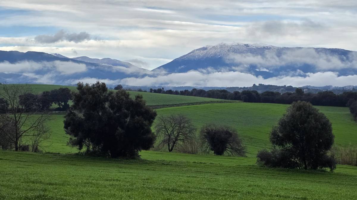 El Montseny nevat aquest dissabte