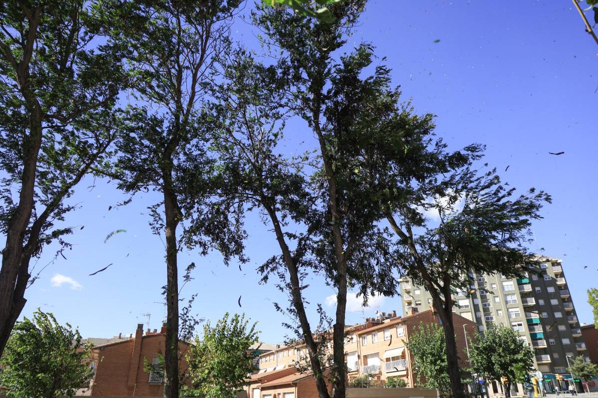 Geoskop, la startup sabadellenca que preveu el clima a 20 anys vista, s’alia amb l’energètica italiana Plenitude