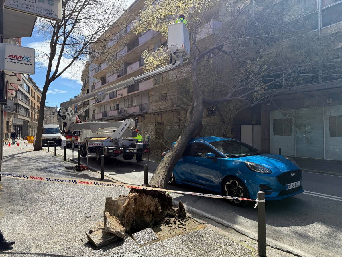 La ventada frega els 170 km/h a l'Alt Empordà