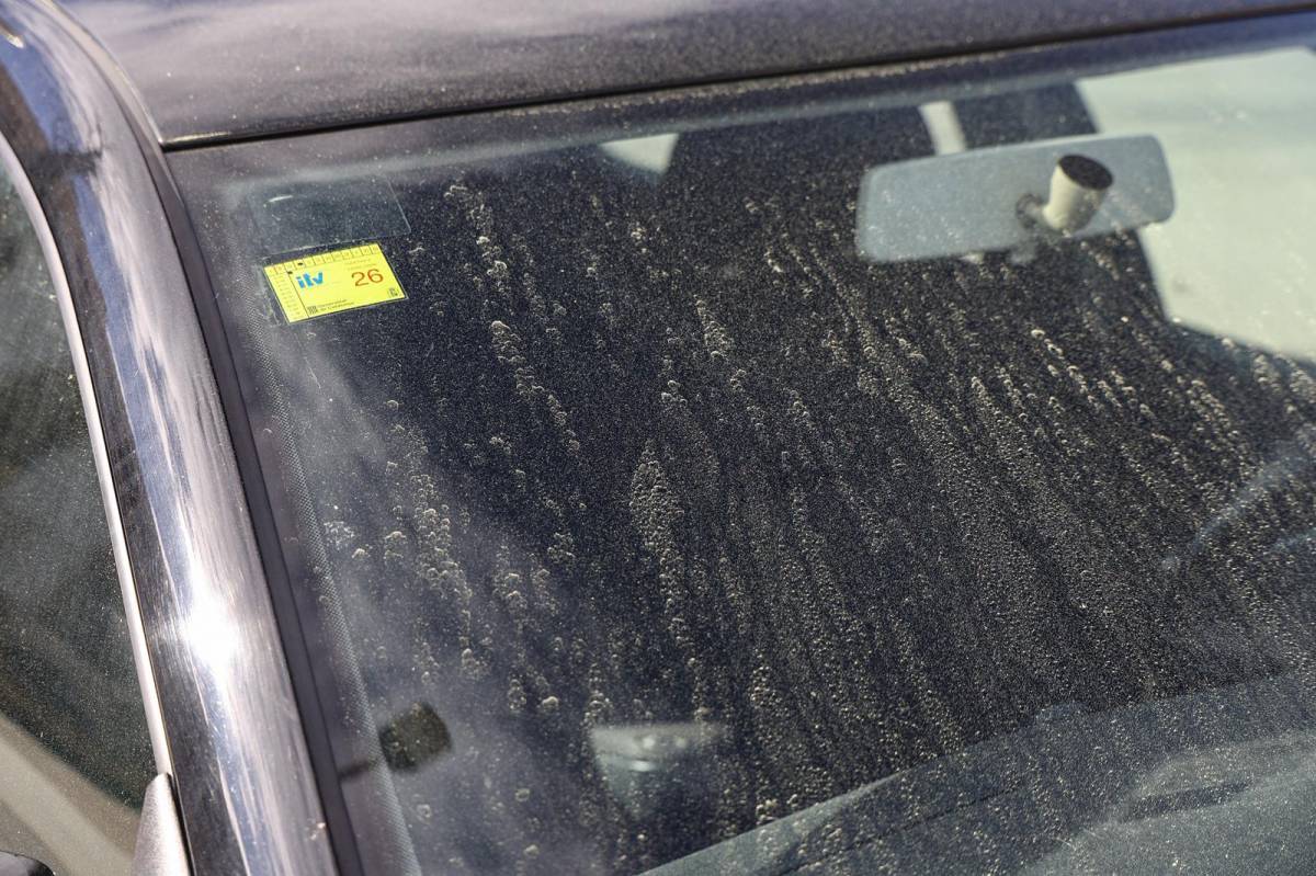 Una gran concentració de pol·len es fa visible aquest diumenge a Sabadell