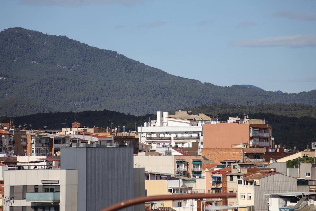Una gran concentració de pol·len a Sabadell - VÍCTOR CASTILLO Una gran concentració de pol·len a Sabadell