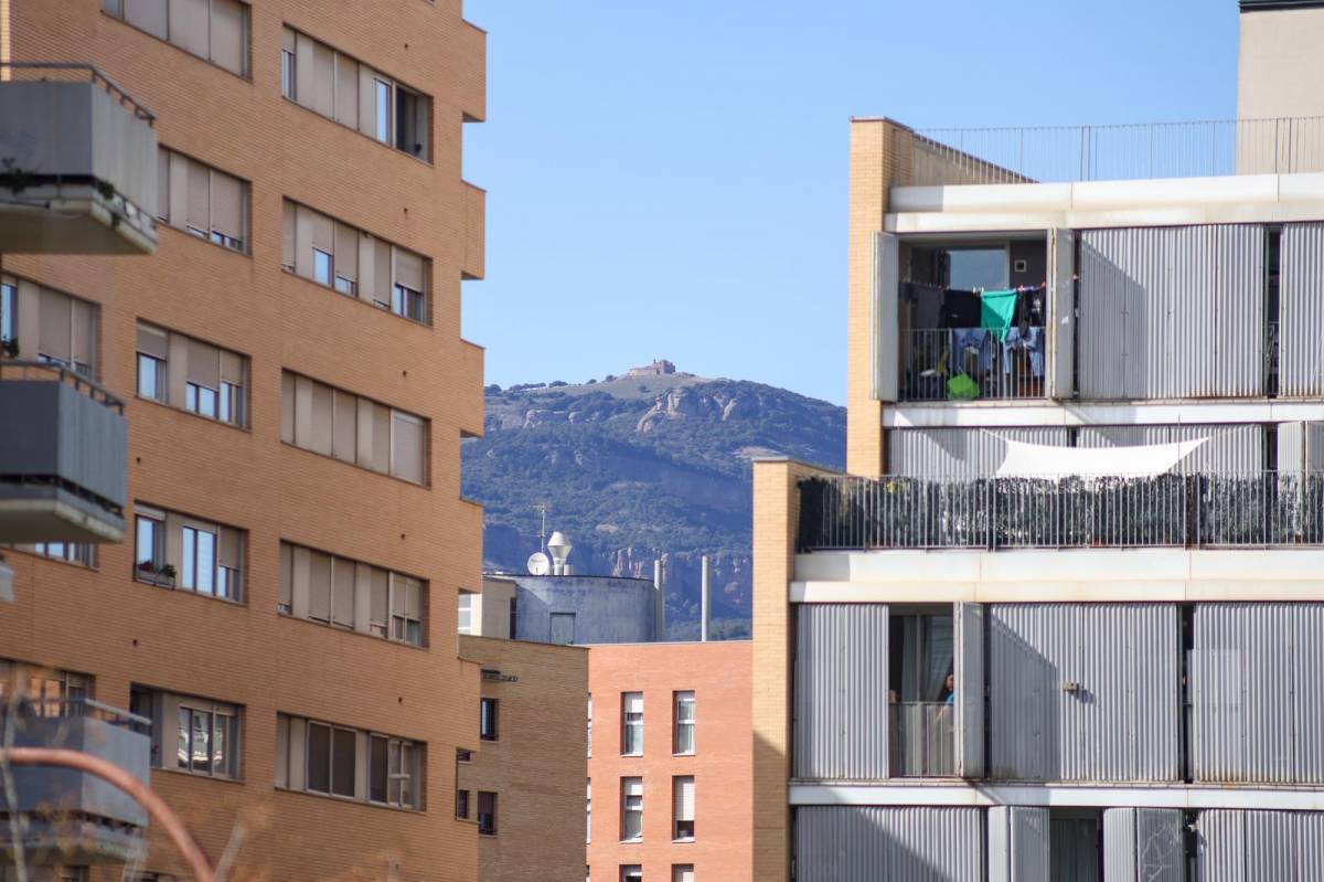 Una gran concentració de pol·len a Sabadell - VÍCTOR CASTILLO Una gran concentració de pol·len a Sabadell