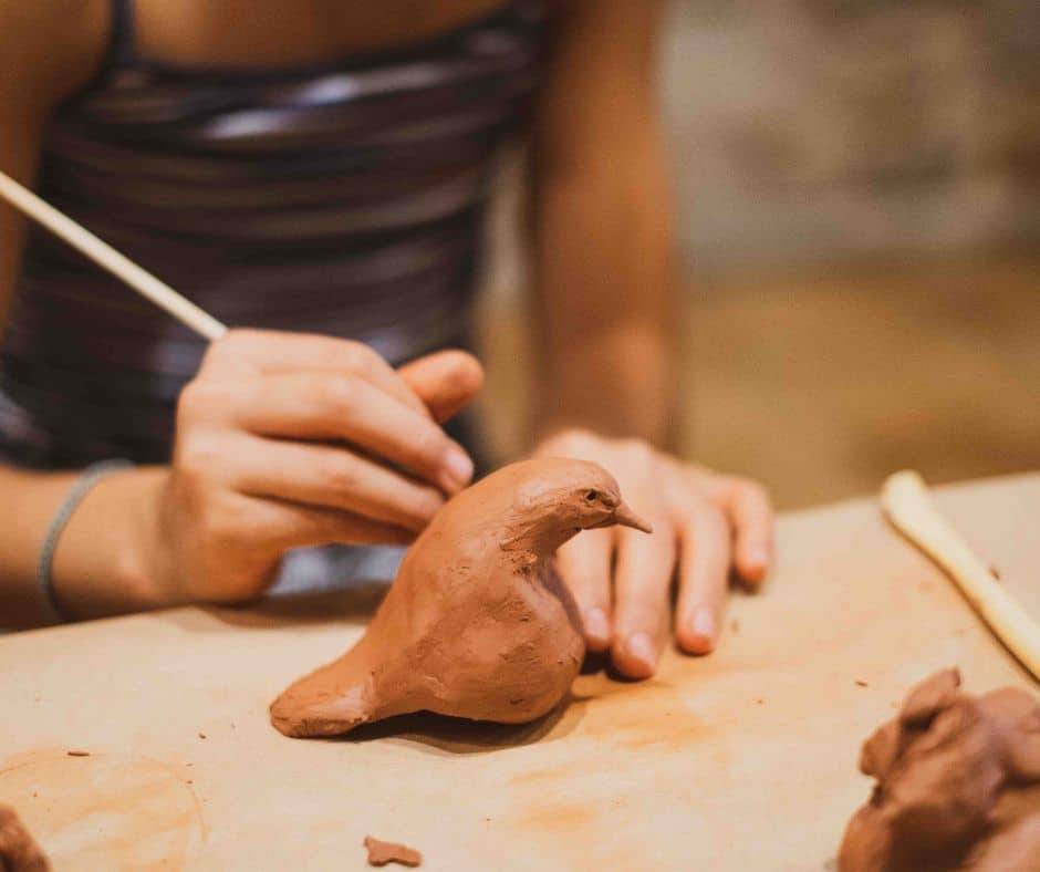 Animàlia - Museu d`Art de Girona Animàlia