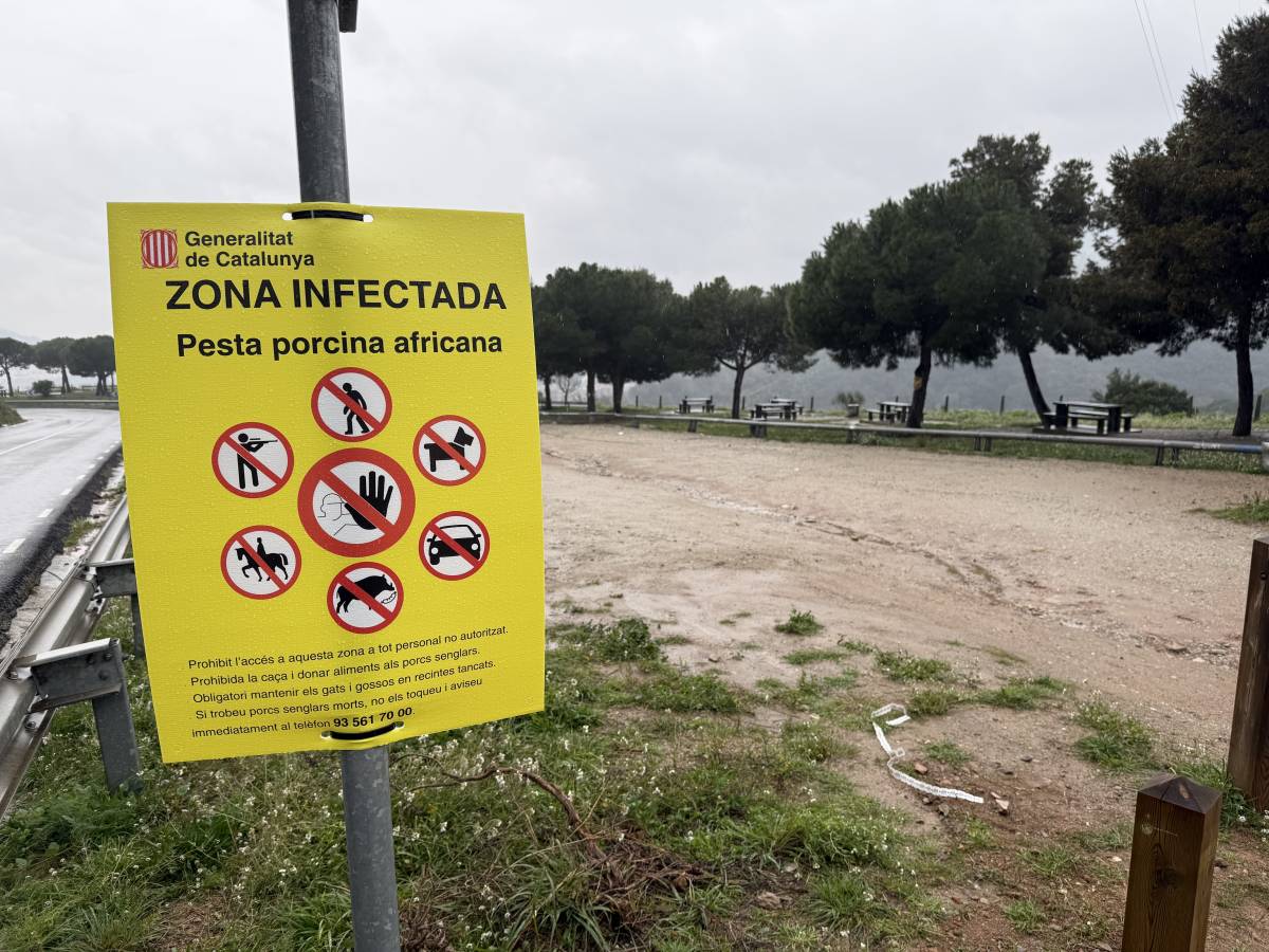 El Govern agraeix el respecte «molt majoritari» de les restriccions d'accés a Collserola