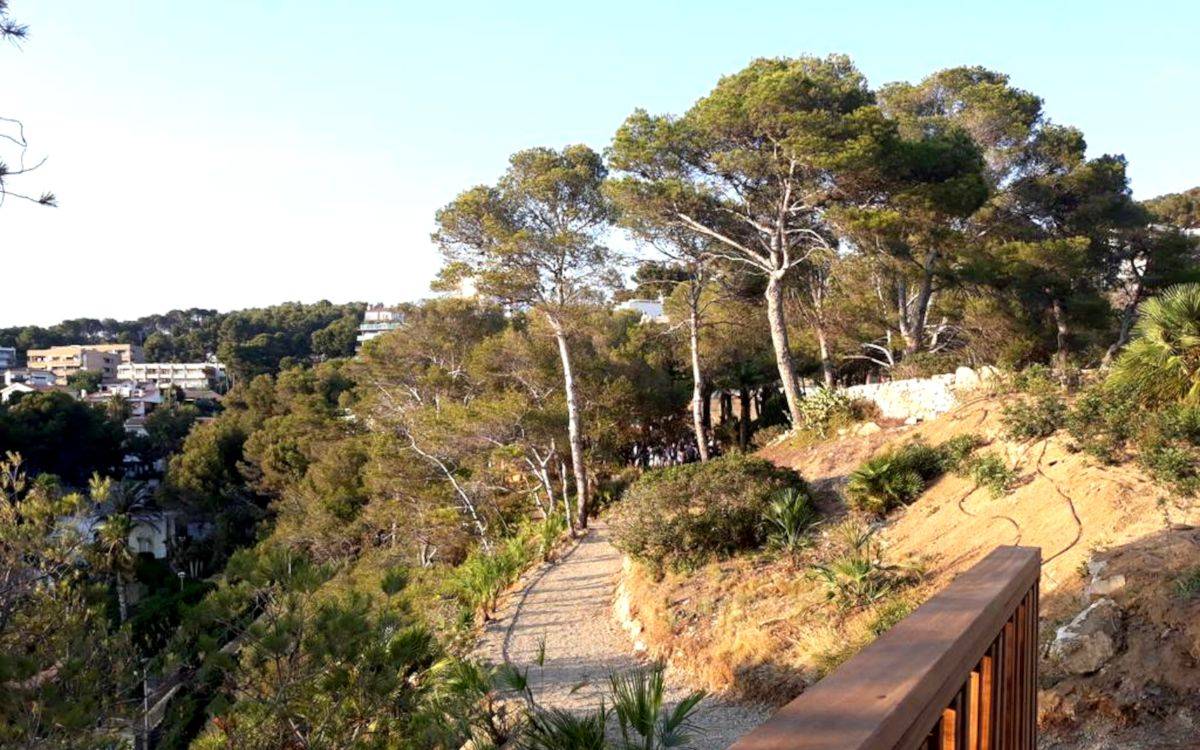 L'Ajuntament de Salou renaturalitzarà onze punts del litoral amb gairebé 3.800 plantes autòctones