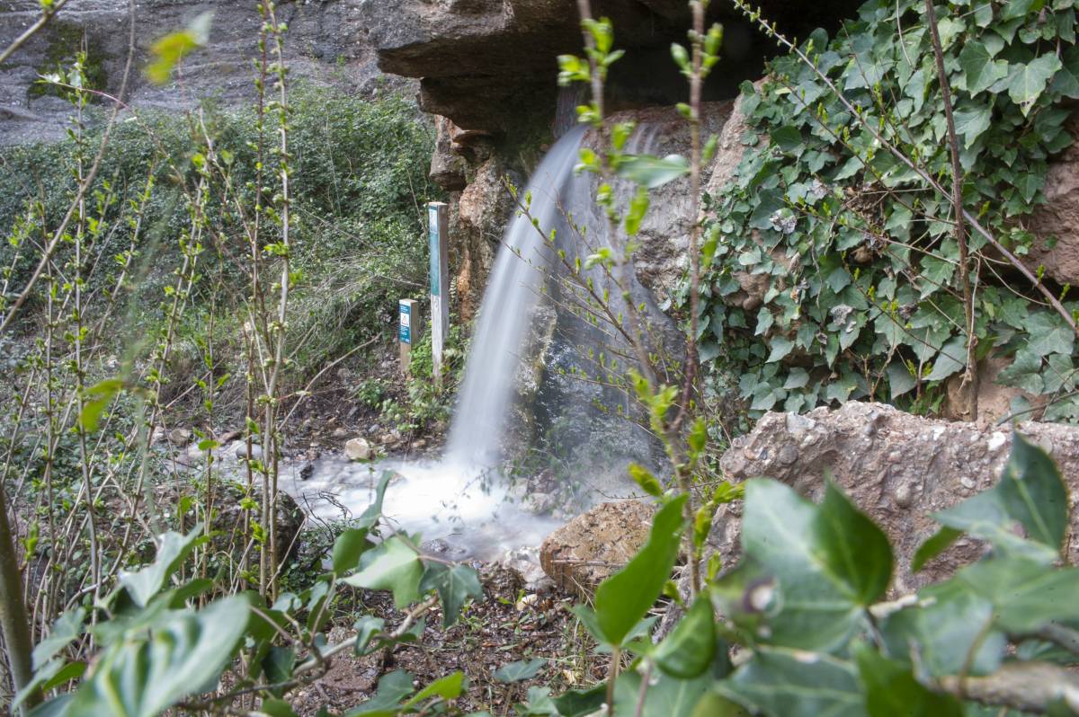 Els Caus del Guitard ragen per segon any consecutiu