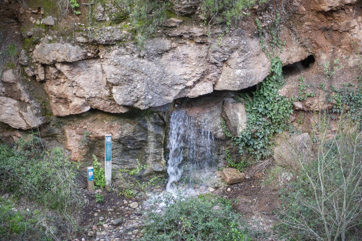 Els Caus del Guitard tornen a brollar - Alberto Tallón