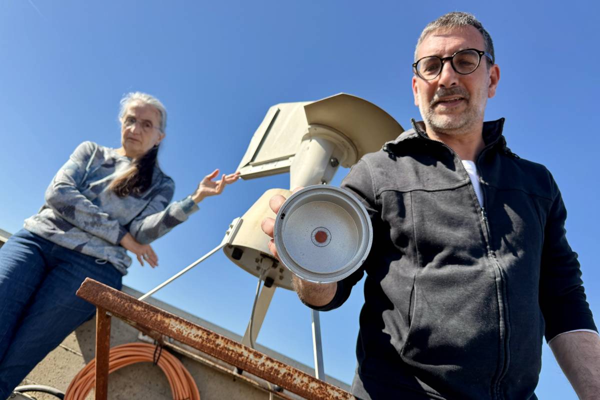 Les pluges disparen les al·lergies: la primavera serà dura