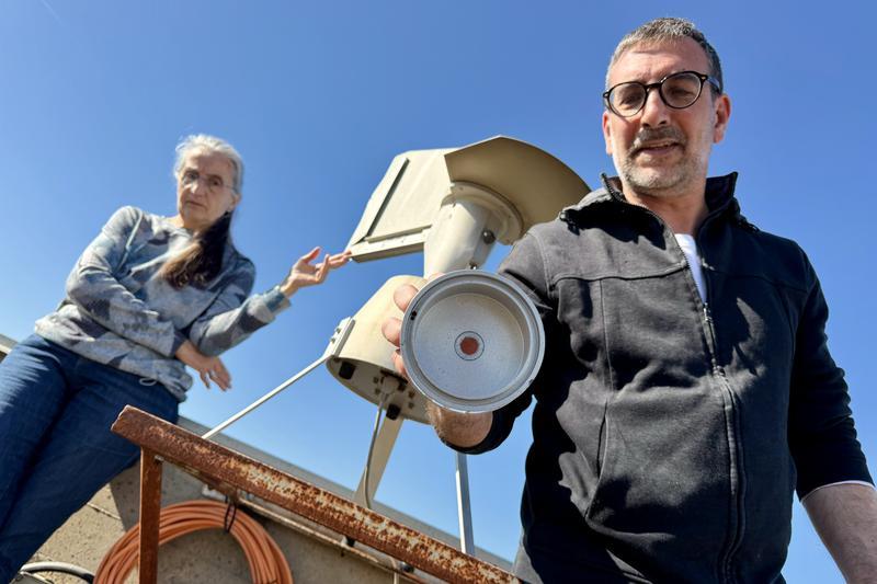 Primavera dura per als al·lèrgics: 