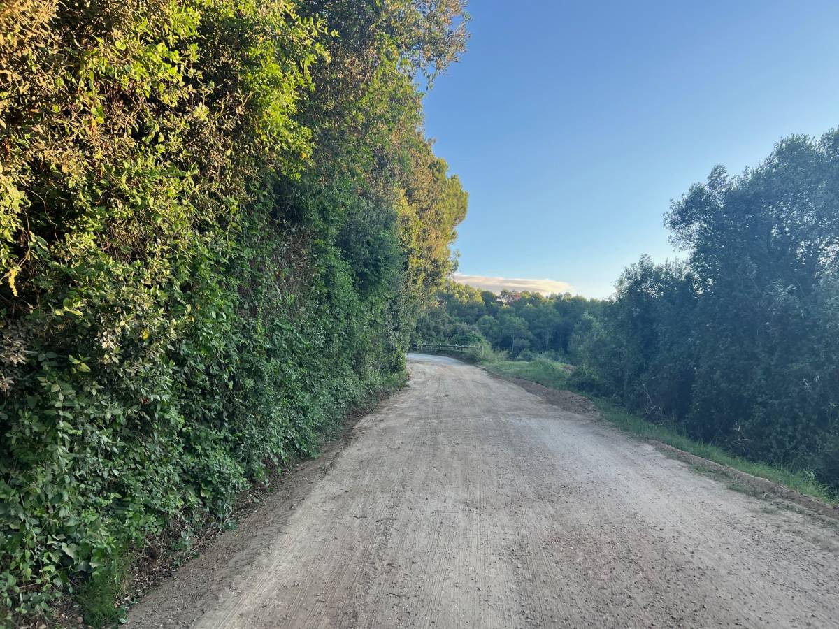 Més de 120.000 euros per reforçar camins forestals de Sant Pere de Vilamajor