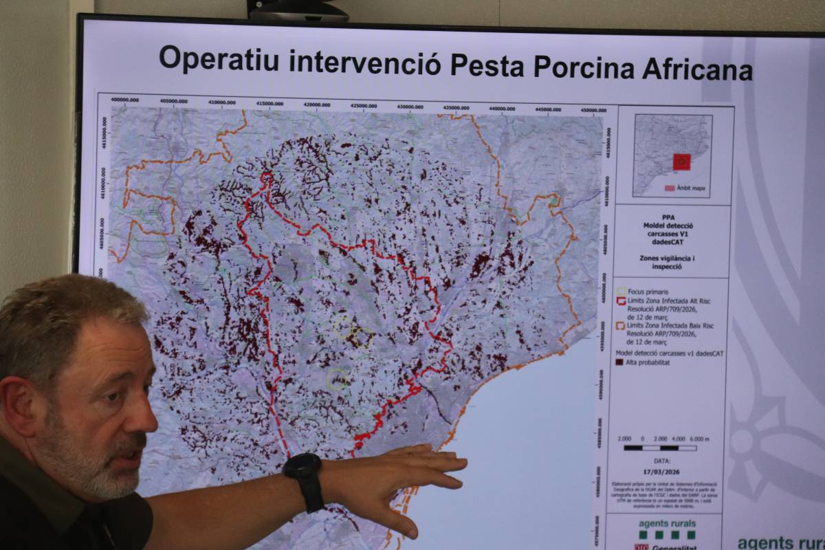 Joan Antoni Mur, inspector en cap dels Agents Rurals - Miquel Codolar / ACN