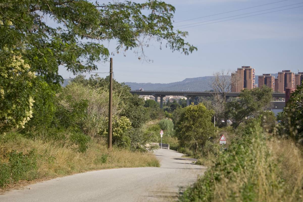 El Palau d’Esports continua viu: “Hem de buscar un gran espai polivalent”