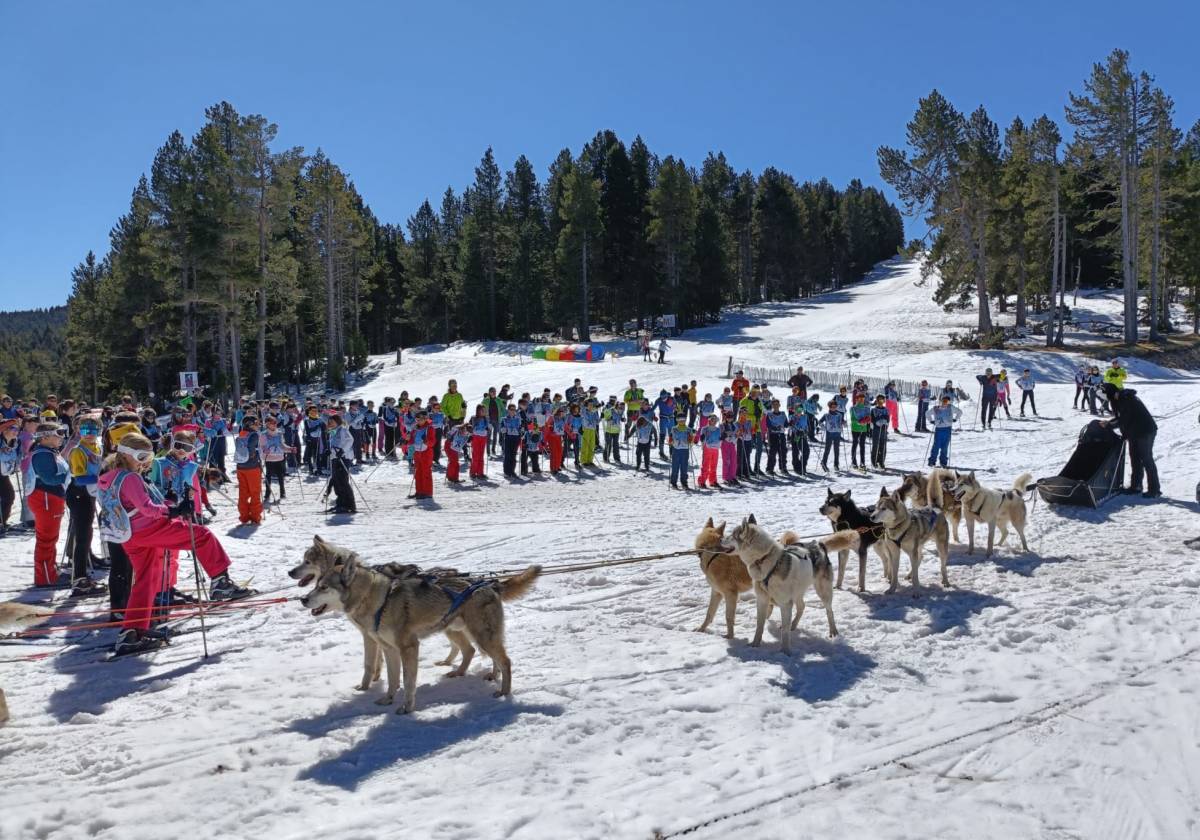 Esport blanc escolar Solsonès  - 