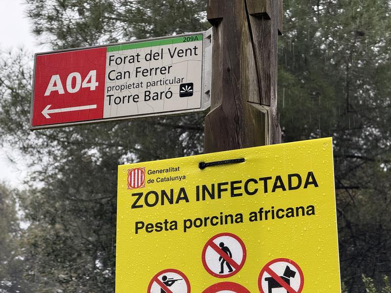 La reobertura de Collserola encara no té data