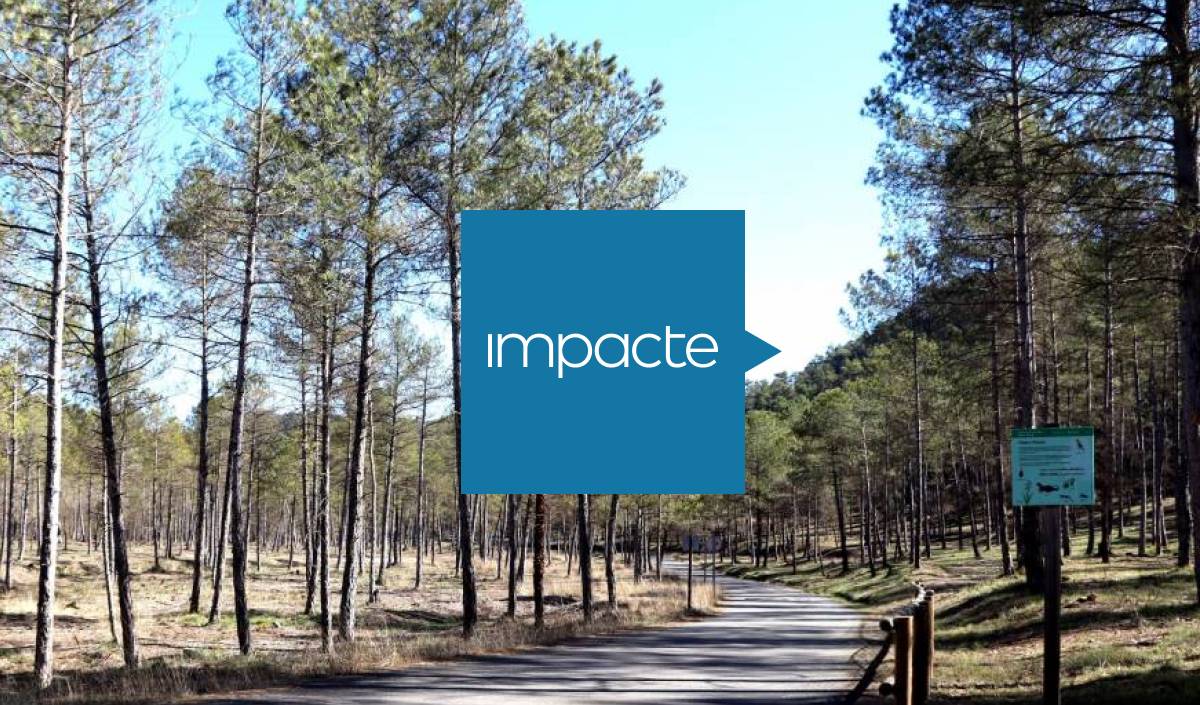 La política forestal, la fas o te la fan