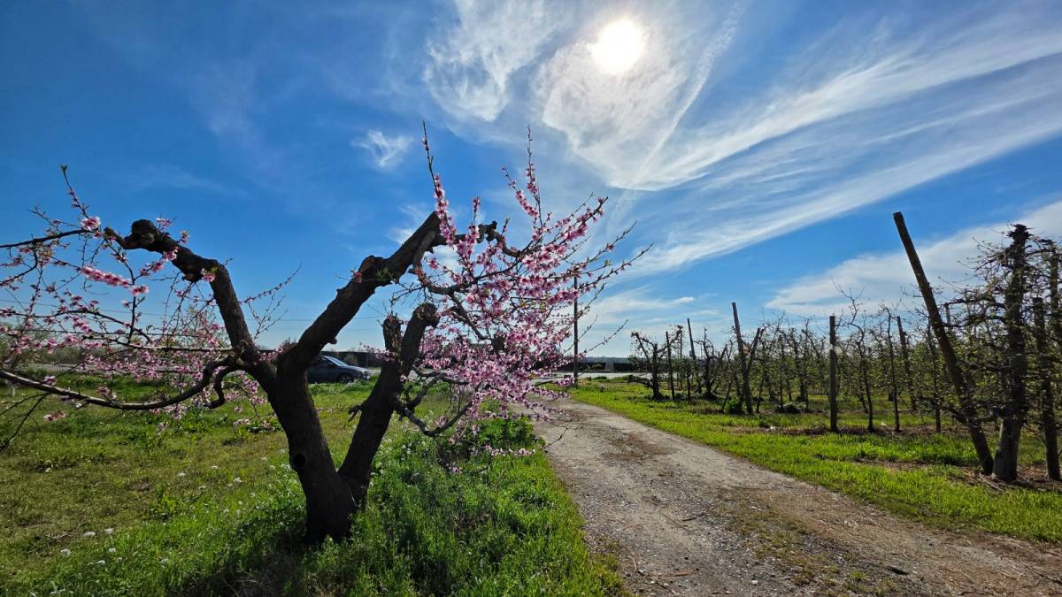 El temps del primer cap de setmana de primavera: sol i temperatures agradables