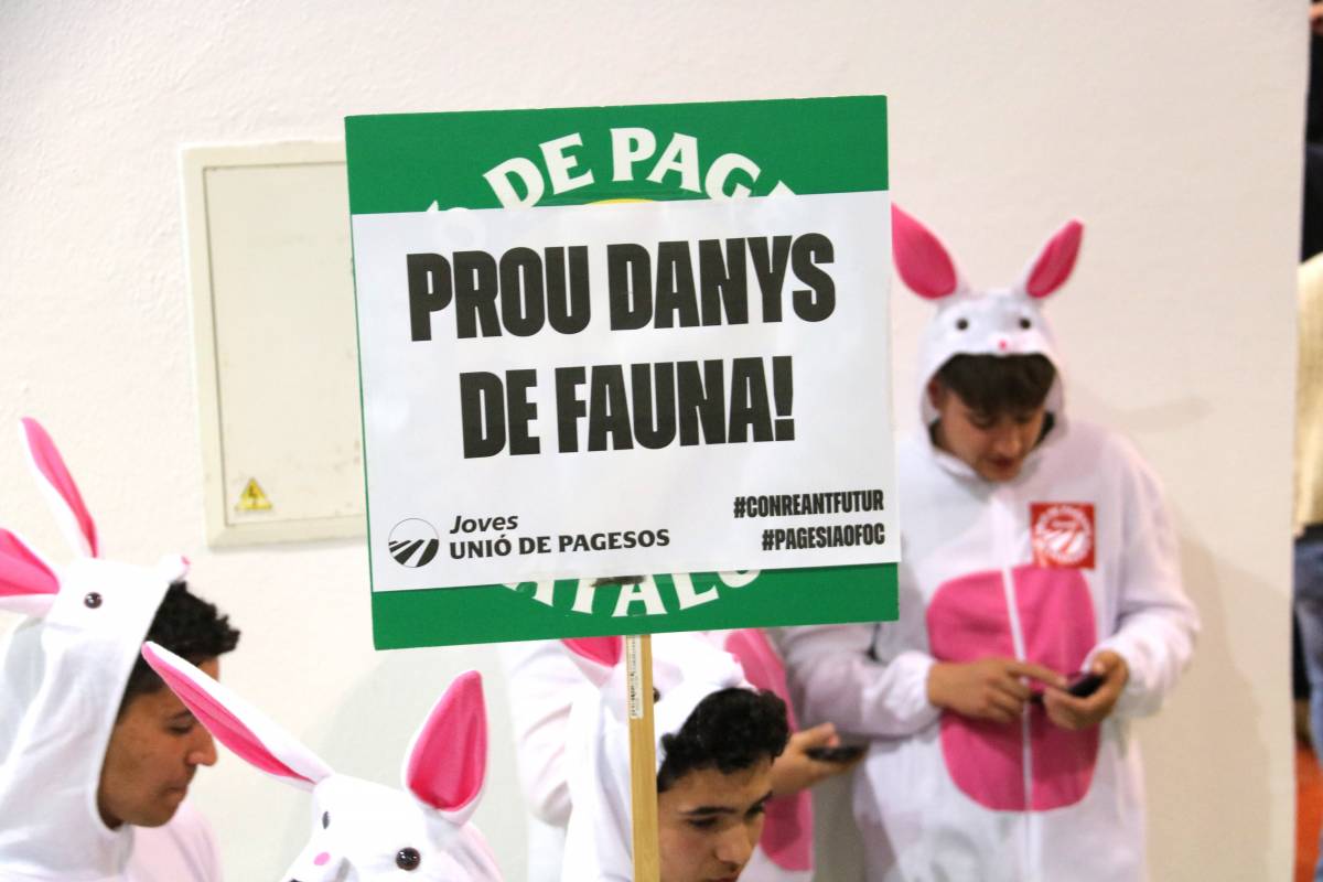 Pagesos disfressats de conills, l'original protesta contra el conseller d'Agricultura
