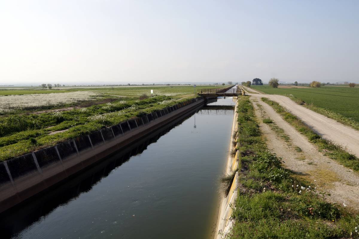 Comença la campanya del canal d’Urgell sense demanda d’aigua dels regants