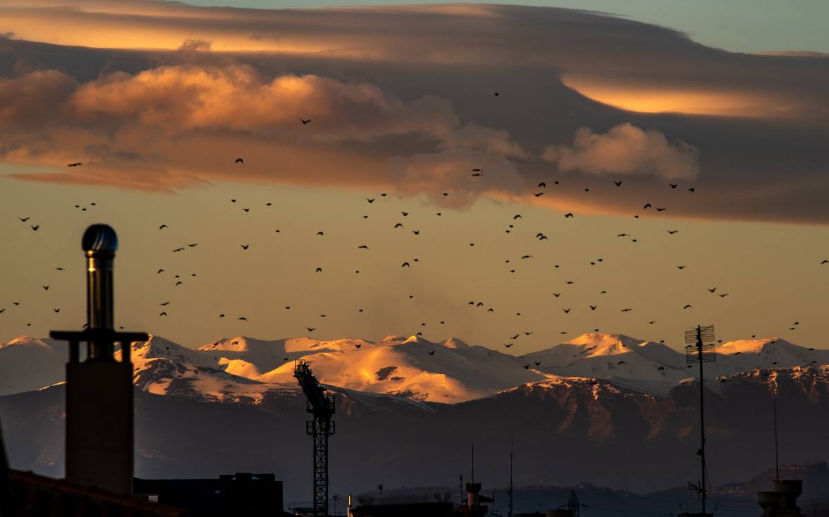 Hivern-primavera a Osona i el Lluçanès: estol d`ocells i posta de sol a Vic, febrer del 2026.