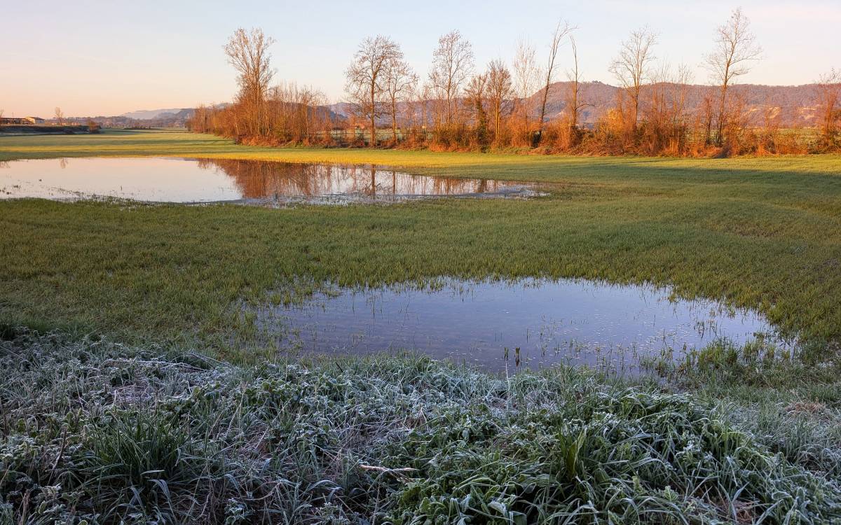 Hivern-primavera a Osona i el Lluçanès: albada primaveral, març del 2026.