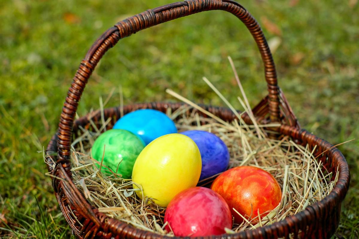 cistell d'ous de pasqua - Pixabay