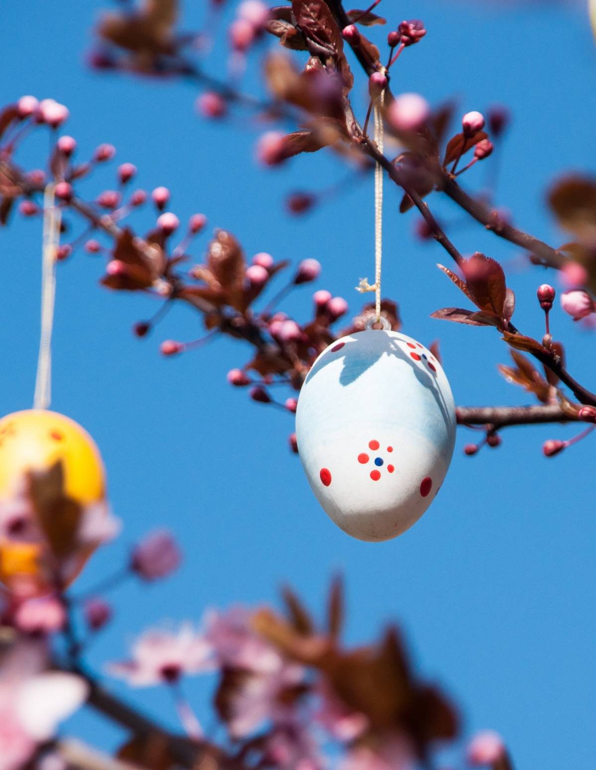 Ous de pasqua amagats  - Pixabay