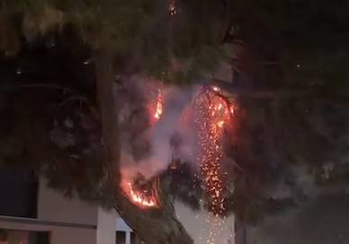 VÍDEO | S'incendia el pi principal de la plaça del Pi-pi de Sabadell