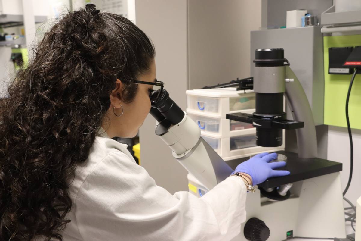 Catalunya, líder de sol·licituds de patents a l'Estat, assoleix un nou rècord l'any 2025