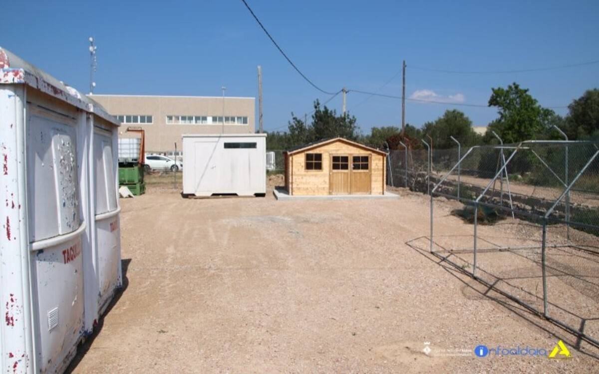 L’Aldea habilita un refugi de gats per garantir el seu benestar