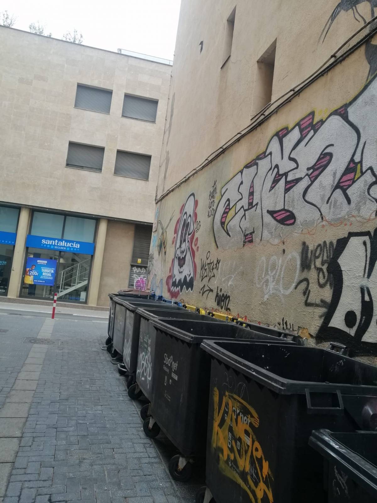 “Els contenidors estan bruts i sempre oberts”