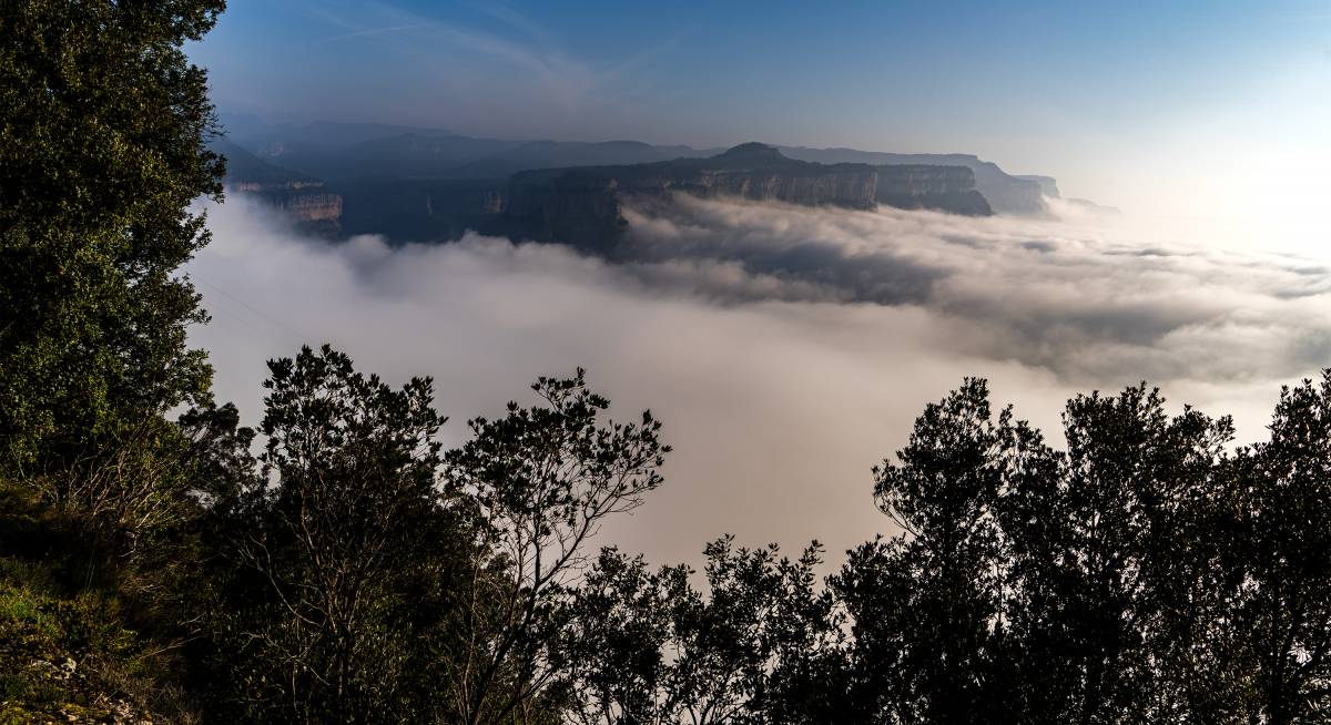 El temps de dimecres: el Meteocat emet avisos per vent a 13 comarques 