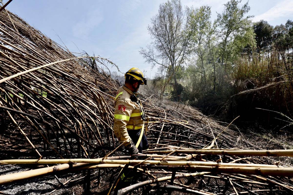 Incendi forestal a Castellar del Vallès