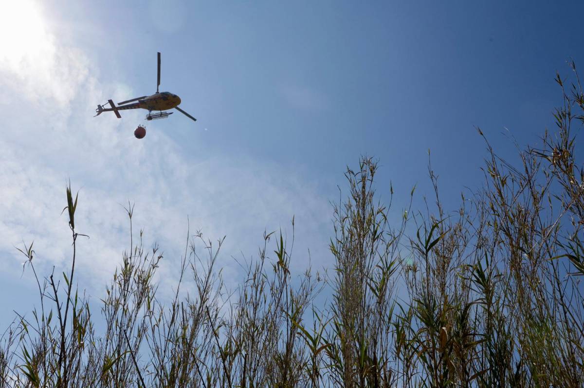 Incendi forestal a Castellar del Vallès