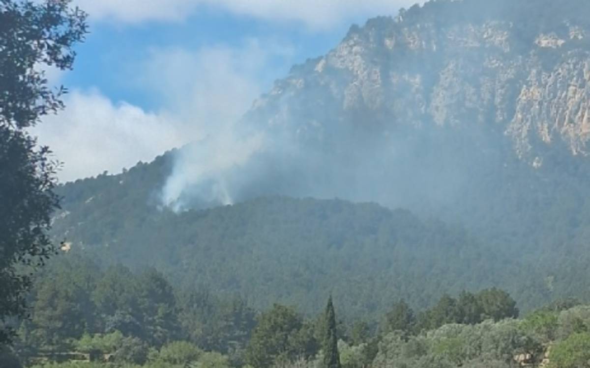 Els Bombers treballen en l’extinció d’un incendi forestal a Paüls