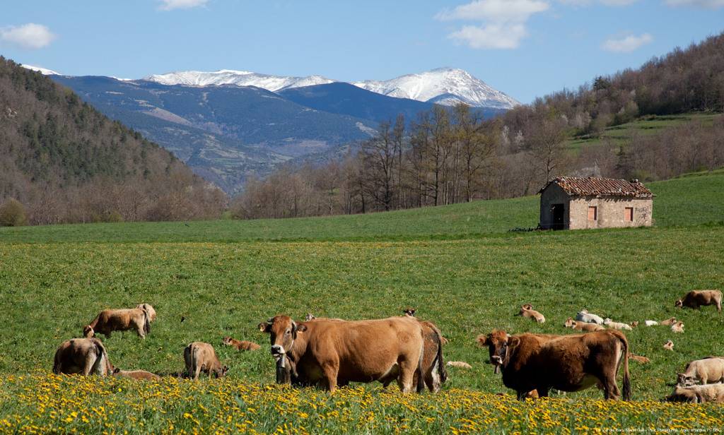 Vall del Bac - Patronat de Turisme Costa Brava Girona Vall del Bac