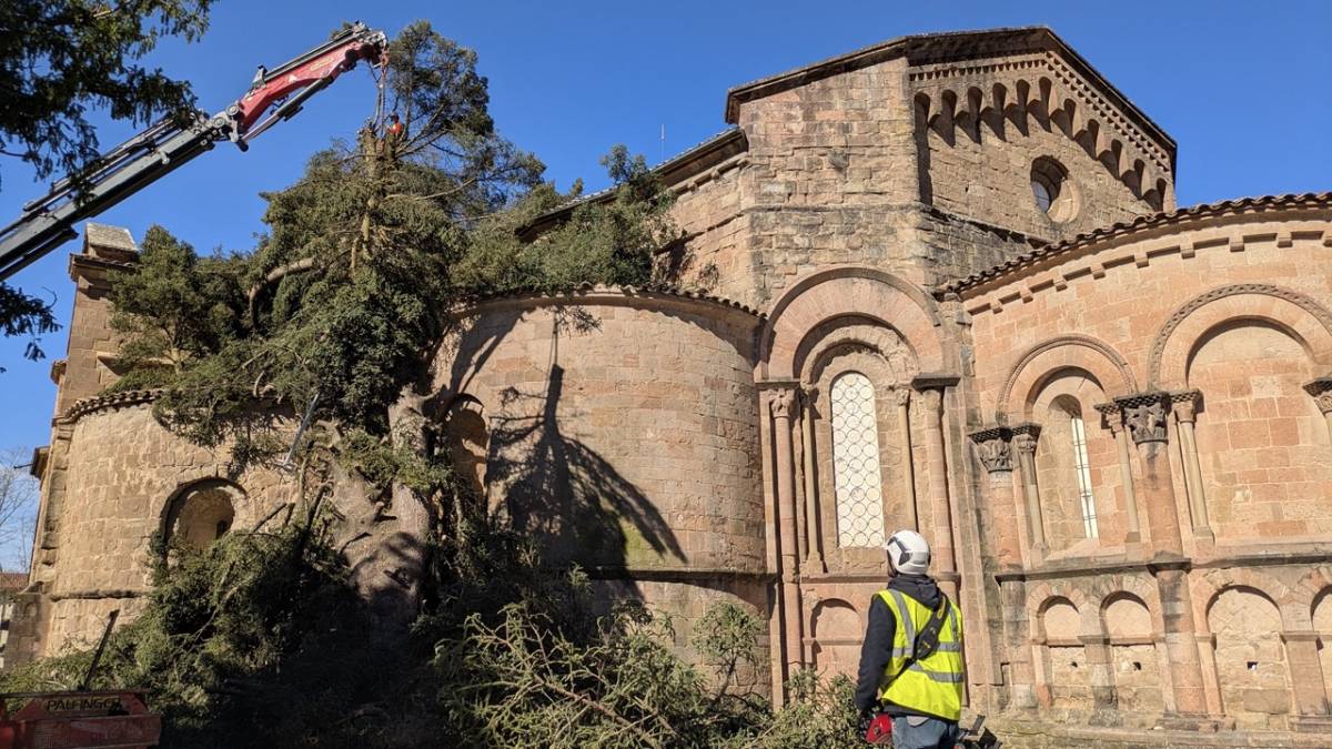 Sant Joan de les Abadesses substituirà l'històric avet del monestir afectat per la ventada