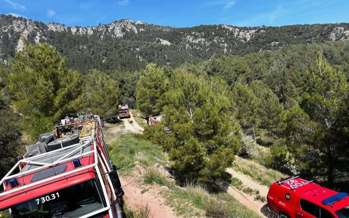 Controlat l'incendi forestal de Paüls que ha afectat una superfície d'una hectàrea