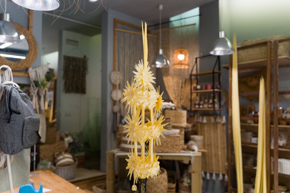 Palmes a la cistelleria Masclans - DAVID CHAO