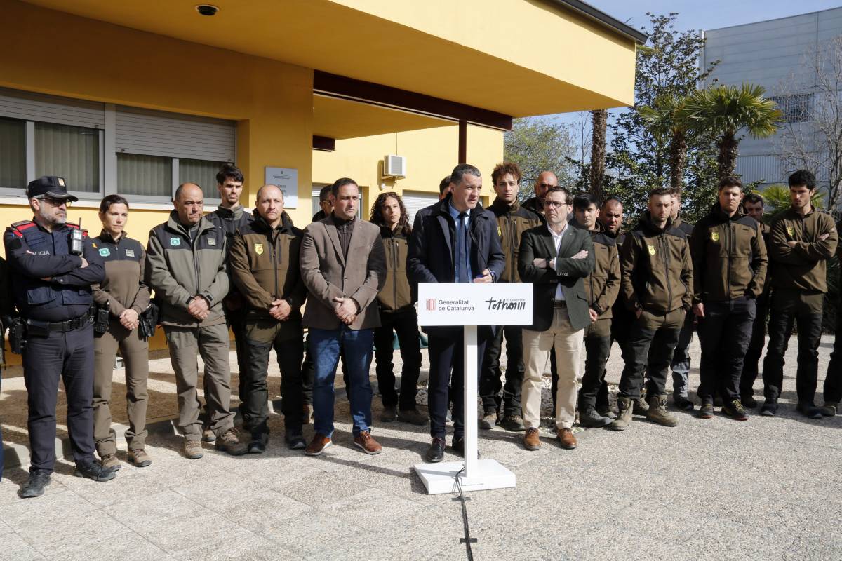 Detecten sis nous casos de pesta porcina a la zona d’alt risc