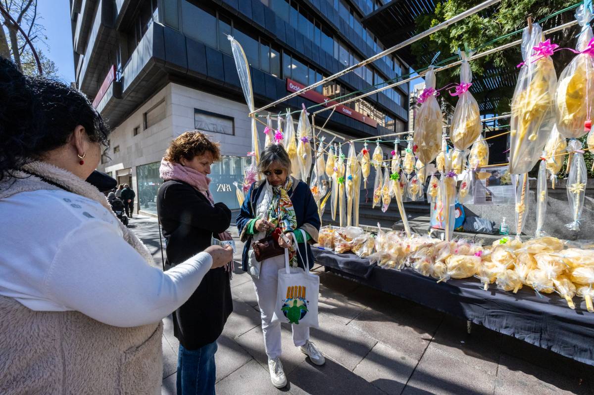 FOTOS | Crit d'alerta dels artesans de la palma per la "pèrdua" de la tradició: "Ja només hi ha palmers a Can Puiggener"