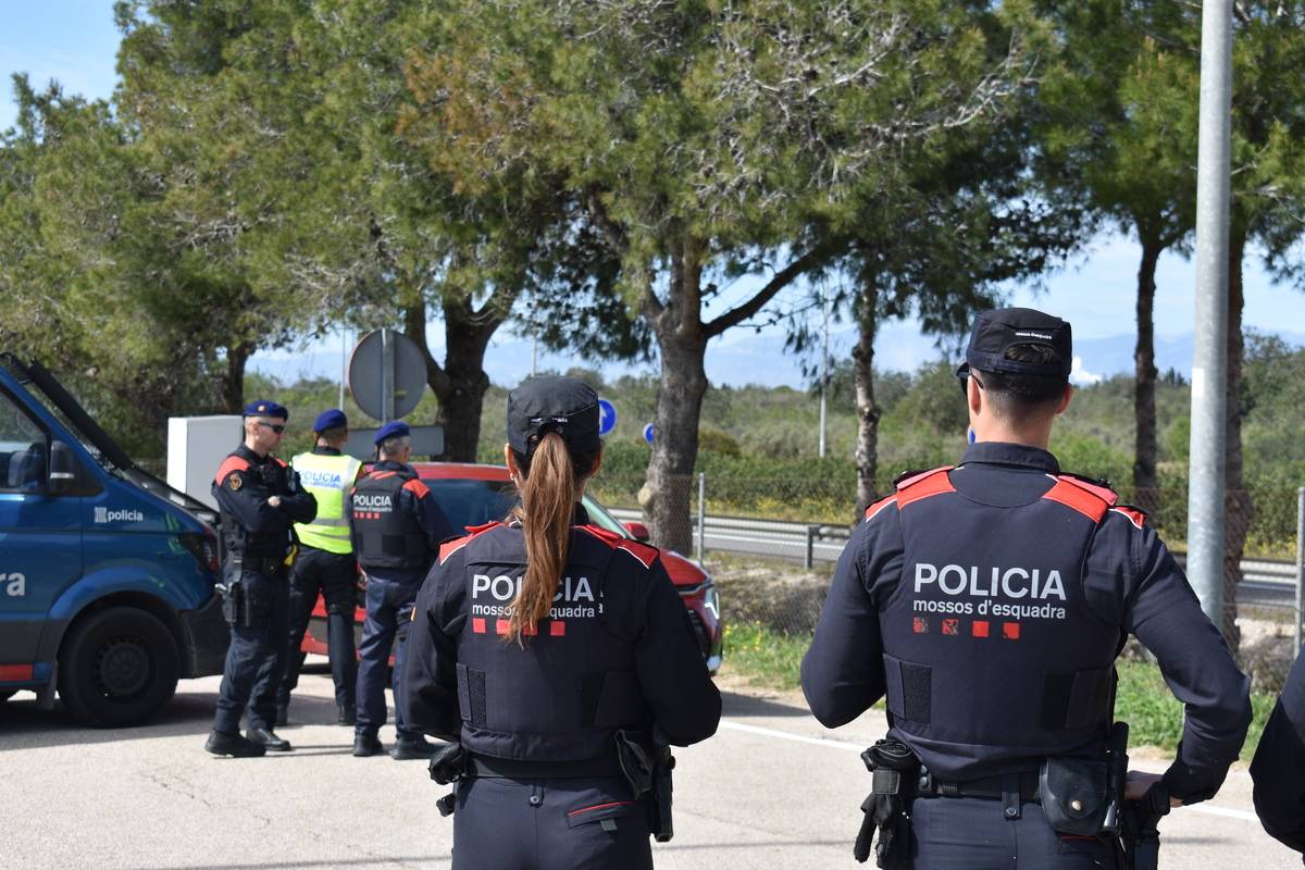 Operatiu policial a l’AP-7 a l’Aldea contra la delinqüència a les vies